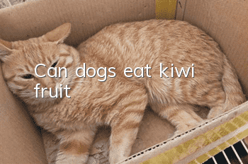 Can dogs eat kiwi fruit?