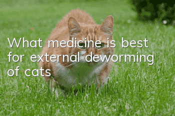 What medicine is best for external deworming of cats?