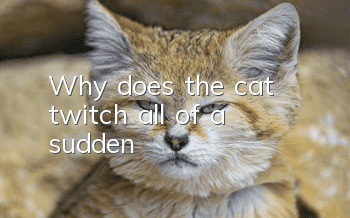 Why does the cat twitch all of a sudden?