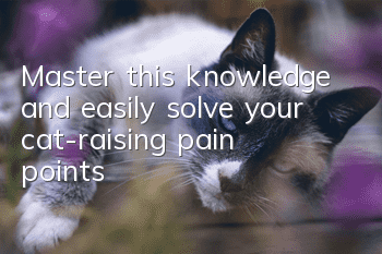 Master this knowledge and easily solve your cat-raising pain points