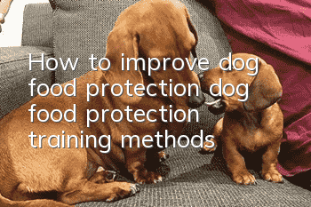How to improve dog food protection, dog food protection training methods!