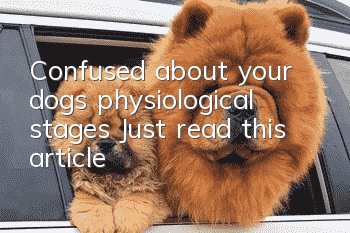 Confused about your dog’s physiological stages? Just read this article!