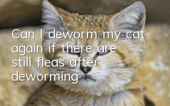 Can I deworm my cat again if there are still fleas after deworming?