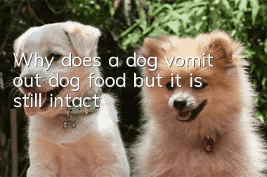Why does a dog vomit out dog food but it is still intact?
