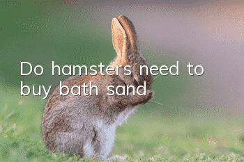 Do hamsters need to buy bath sand?