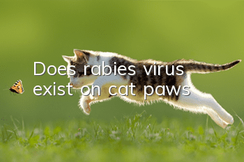 Does rabies virus exist on cat paws?