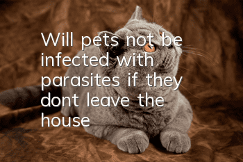Will pets not be infected with parasites if they don’t leave the house?