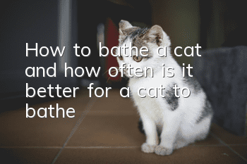 How to bathe a cat, and how often is it better for a cat to bathe?