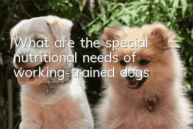 What are the special nutritional needs of working-trained dogs?
