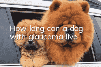 How long can a dog with glaucoma live?