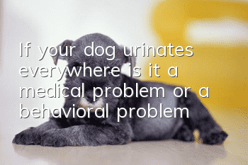 If your dog urinates everywhere, is it a medical problem or a behavioral problem?
