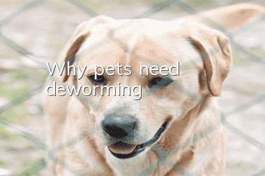 Why pets need deworming