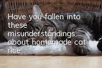 Have you fallen into these misunderstandings about homemade cat rice?