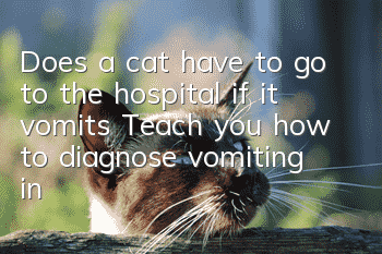 Does a cat have to go to the hospital if it vomits? Teach you how to diagnose vomiting in cats