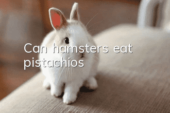 Can hamsters eat pistachios?