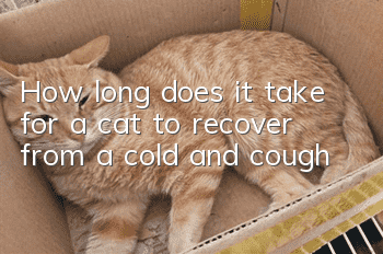 How long does it take for a cat to recover from a cold and cough?