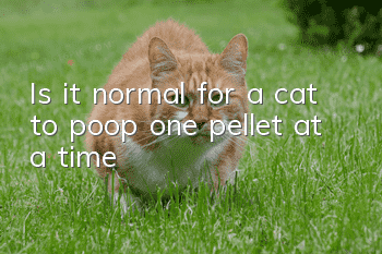 Is it normal for a cat to poop one pellet at a time?