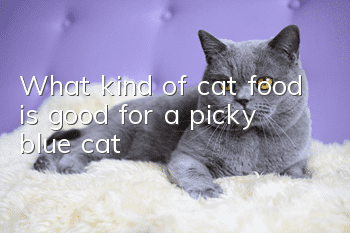 What kind of cat food is good for a picky blue cat?