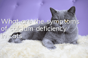 What are the symptoms of calcium deficiency in cats?
