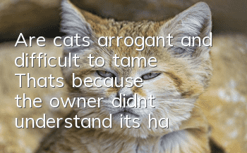 Are cats arrogant and difficult to tame? That's because the owner didn't understand its habits