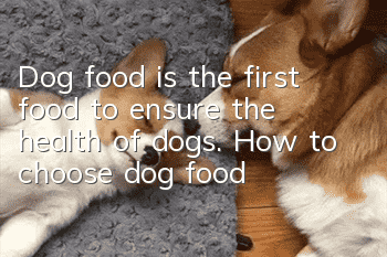 Dog food is the first food to ensure the health of dogs. How to choose dog food?
