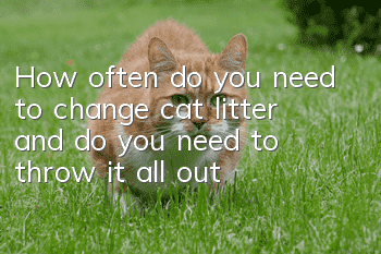 How often do you need to change cat litter and do you need to throw it all out?