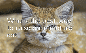 What’s the best way to raise an immature cat?