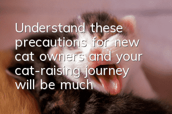 Understand these precautions for new cat owners, and your cat-raising journey will be much smoother from now on.