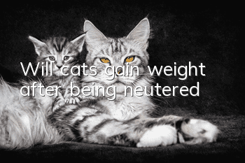 Will cats gain weight after being neutered?