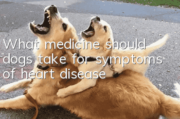 What medicine should dogs take for symptoms of heart disease?