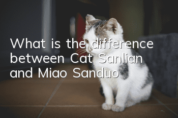What is the difference between Cat Sanlian and Miao Sanduo?