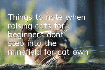 Things to note when raising cats for beginners, don’t step into the minefield for cat owners! !