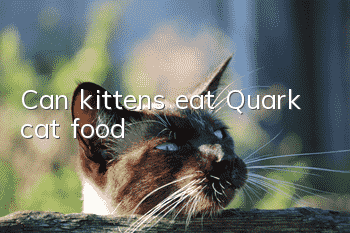 Can kittens eat Quark cat food?