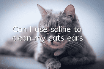 Can I use saline to clean my cat’s ears?