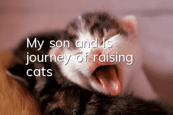 My son and I’s journey of raising cats