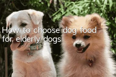 How to choose dog food for elderly dogs