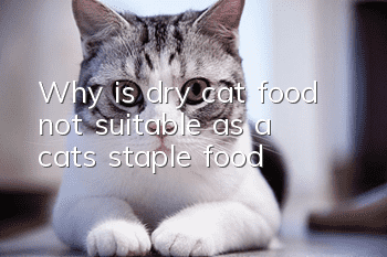 Why is dry cat food not suitable as a cat’s staple food?