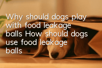 Why should dogs play with food leakage balls? How should dogs use food leakage balls?
