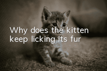 Why does the kitten keep licking its fur?