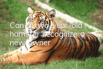 Can a two-year-old hamster recognize a new owner?