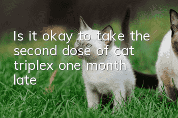 Is it okay to take the second dose of cat triplex one month late?