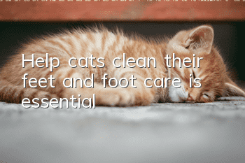 Help cats clean their feet and foot care is essential