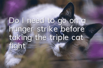Do I need to go on a hunger strike before taking the triple cat fight?