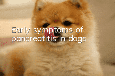 Early symptoms of pancreatitis in dogs