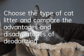 Choose the type of cat litter and compare the advantages and disadvantages of deodorizing
