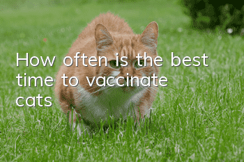 How often is the best time to vaccinate cats?