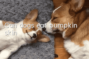Can dogs eat pumpkin skin?