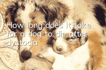 How long does it take for a dog to die after dystocia?