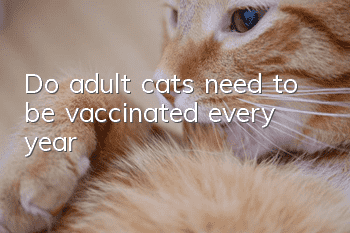 Do adult cats need to be vaccinated every year?