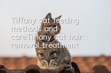 Tiffany cat feeding methods and care_Tiffany cat hair removal treatment